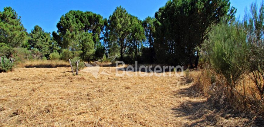 Terreno em Cativelos