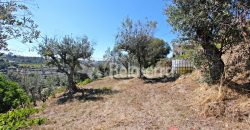 Moradia T3 com Terreno em Vodra