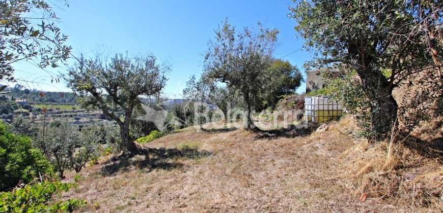 Moradia T3 com Terreno em Vodra