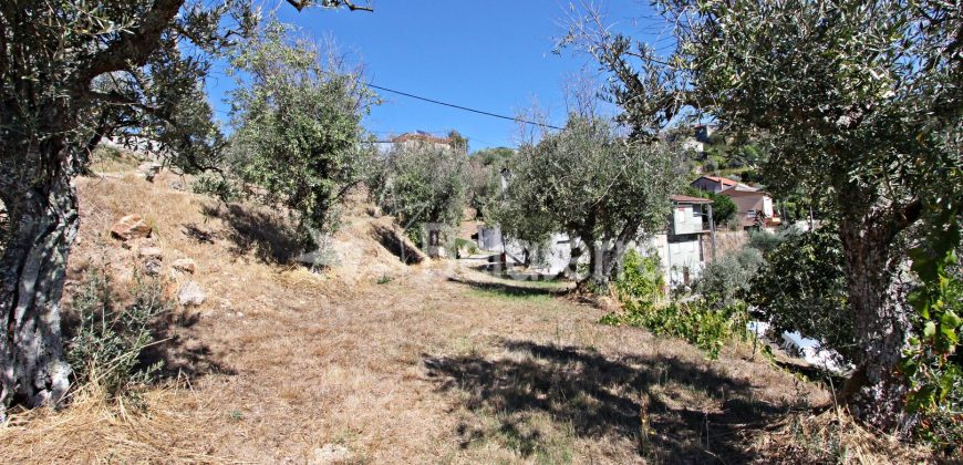 Moradia T3 com Terreno em Vodra
