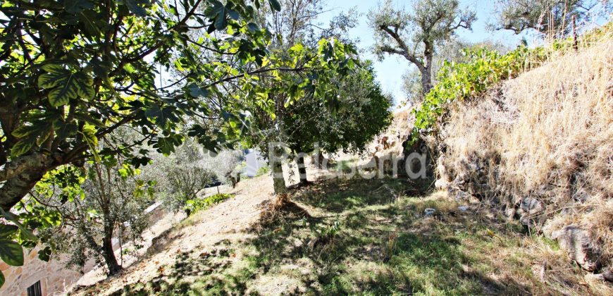 Moradia T3 com Terreno em Vodra