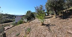 Moradia T3 com Terreno em Vodra