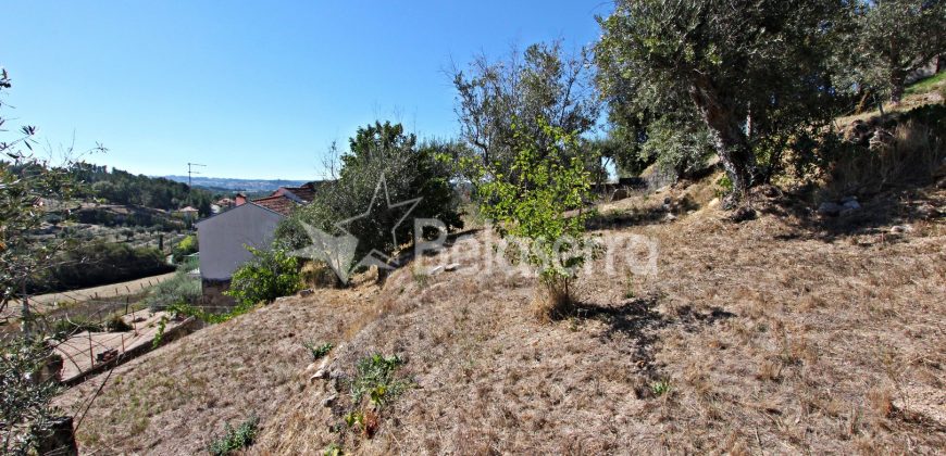 Moradia T3 com Terreno em Vodra