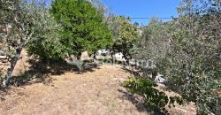 Moradia T3 com Terreno em Vodra