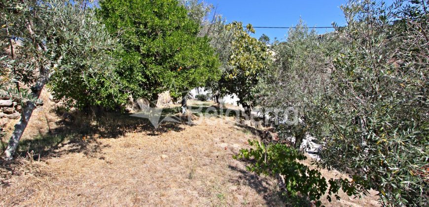 Moradia T3 com Terreno em Vodra