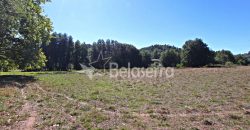 Terreno com Frente de Ribeiro