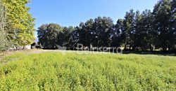 Terreno com Frente de Ribeiro