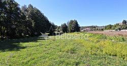 Terreno com Frente de Ribeiro