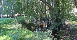 Terreno com Frente de Ribeiro
