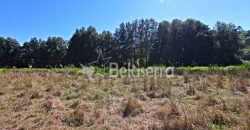 Terreno com Frente de Ribeiro