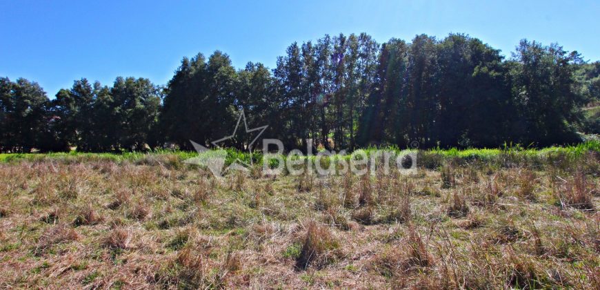 Terreno com Frente de Ribeiro