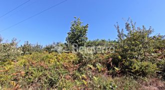 2 terrenos em Várzea de Meruge