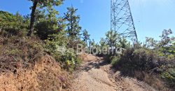 2 terrenos em Várzea de Meruge