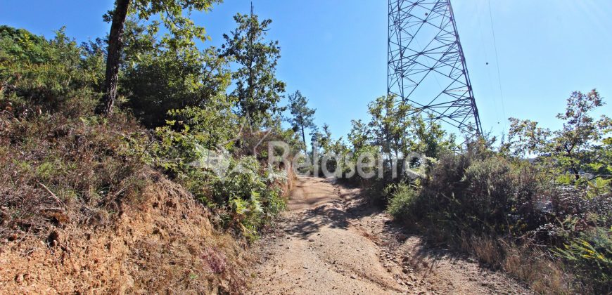 2 terrenos em Várzea de Meruge