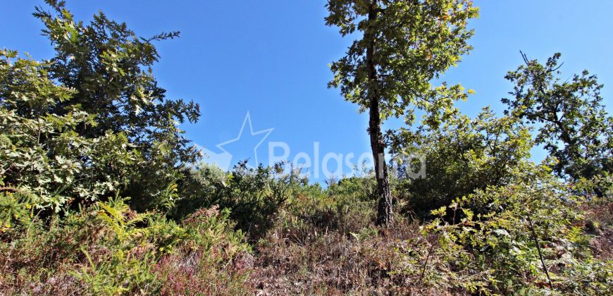 2 terrenos em Várzea de Meruge