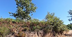 2 terrenos em Várzea de Meruge
