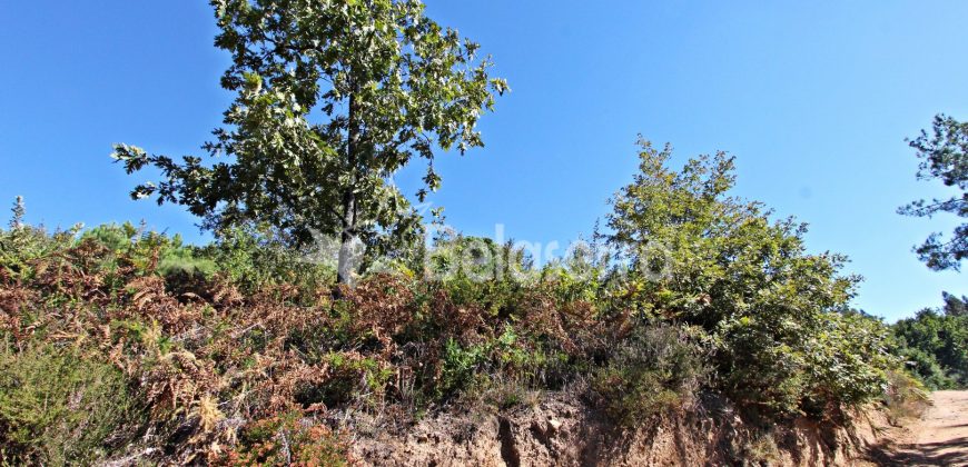 2 terrenos em Várzea de Meruge