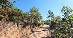 2 terrenos em Várzea de Meruge