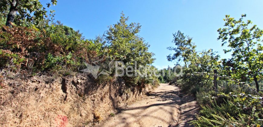 2 terrenos em Várzea de Meruge