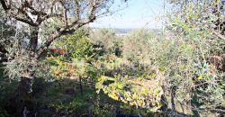 terreno Urbano em Seia