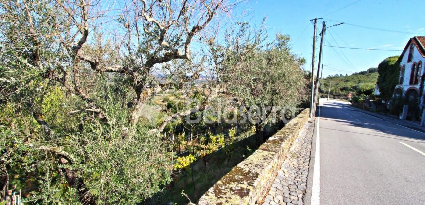 terreno Urbano em Seia