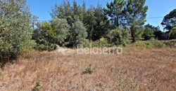 Terreno em Negrelos
