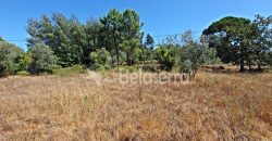 Terreno em Negrelos