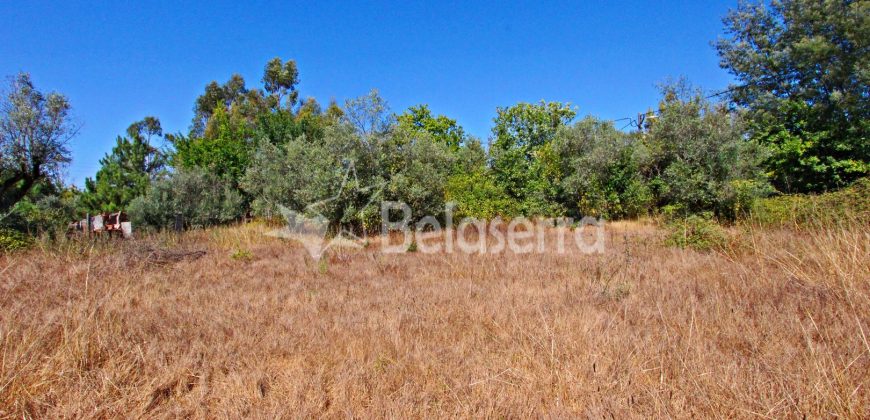 Terreno em Negrelos