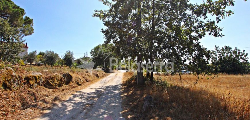 Terreno em Negrelos