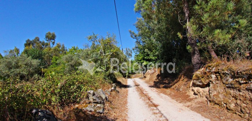 Terreno em Negrelos