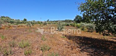 Terreno Rustico em Negrelos