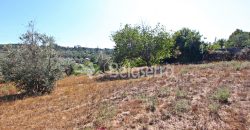Terreno Rustico em Negrelos
