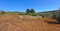 Terreno Rustico em Negrelos