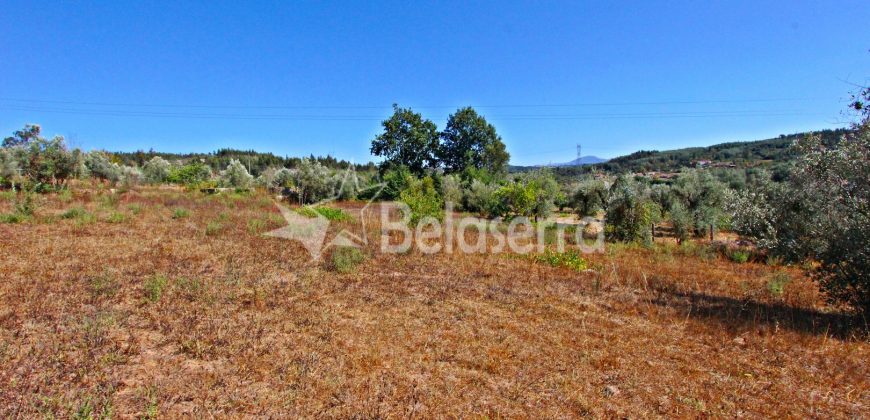 Terreno Rustico em Negrelos