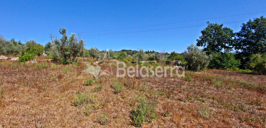 Terreno Rustico em Negrelos