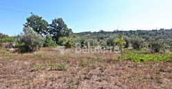 Terreno Rustico em Negrelos