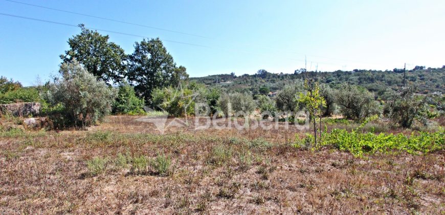 Terreno Rustico em Negrelos