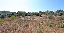 Terreno Rustico em Negrelos