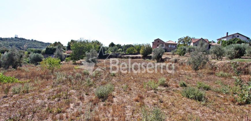 Terreno Rustico em Negrelos