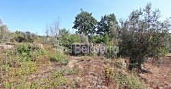 Terreno Rustico em Negrelos