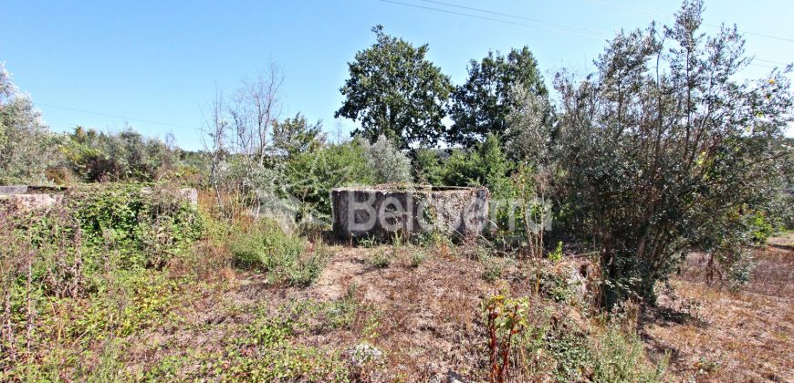 Terreno Rustico em Negrelos