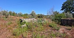 Terreno Rustico em Negrelos