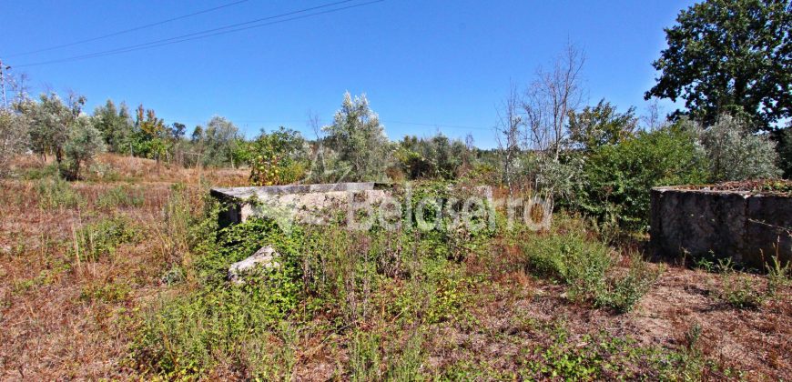 Terreno Rustico em Negrelos