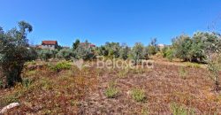Terreno Rustico em Negrelos