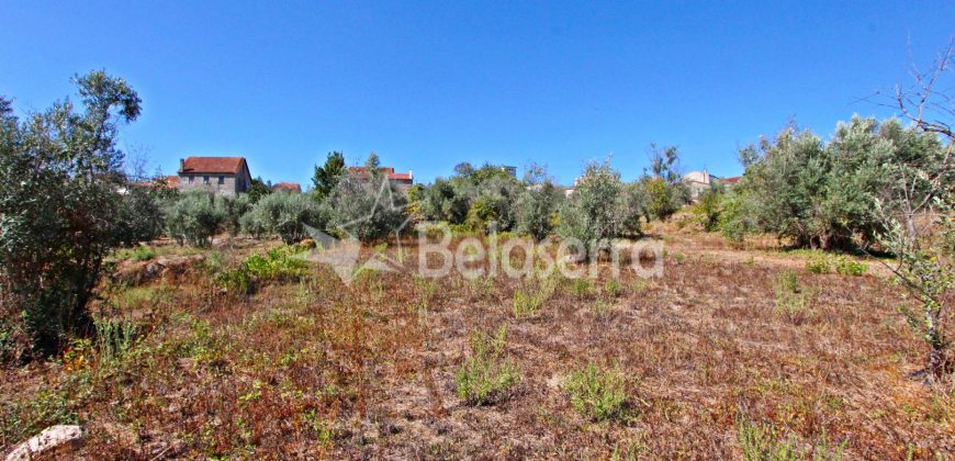 Terreno Rustico em Negrelos
