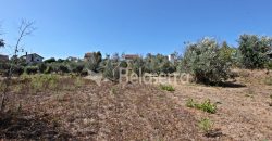 Terreno Rustico em Negrelos