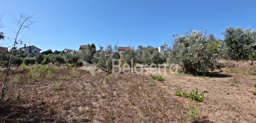 Terreno Rustico em Negrelos
