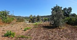 Terreno Rustico em Negrelos