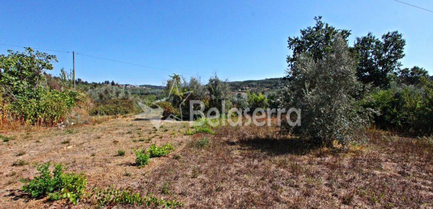 Terreno Rustico em Negrelos